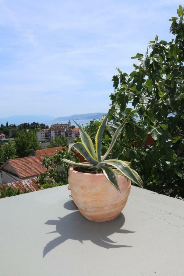Central House Nona Crikvenica Eksteriør billede